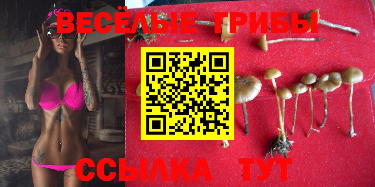 Галлюциногенные грибы GOLDEN TEACHER  Вход с VPN  Усть-Лабинск 