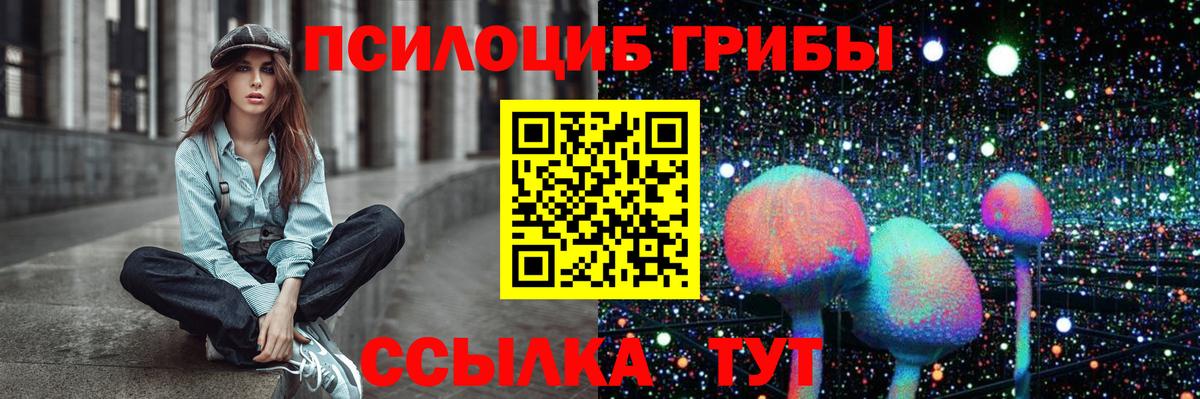 Псилоцибиновые грибы Cubensis Усть-Лабинск